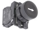 XB5AA3351  Electromechanical
