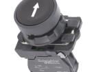 XB5AA3351 Pushbutton Switches