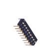 DSIC09LH-P DIP Switches/SIP Switches