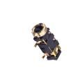 PJ-327U-SMT Circular DIN Connectors