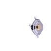 TS-1187A-C-C-B Tactile Switches