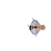 TS-1187A-C-J-B Tactile Switches