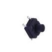 TS-FS66T-C-F Tactile Switches