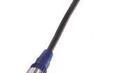 XS2F-LM12PVC4S2M Sensor Cables / Actuator Cables