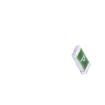 12T.30000063AG12S1B02 Surface Mount Fuses
