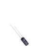 RK1061HMC112RB Aluminium Electrolytic Capacitors - Radial Leaded
