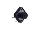 TS-1003-09026 Tactile Switches
