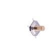 TS-1087S-04526 Tactile Switches