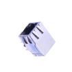13F-69GYDP2NL Modular Connectors / Ethernet Connectors