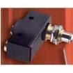 GPTCLR01 Basic / Snap Action Switches
