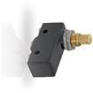 GPTCRH12 Basic / Snap Action Switches