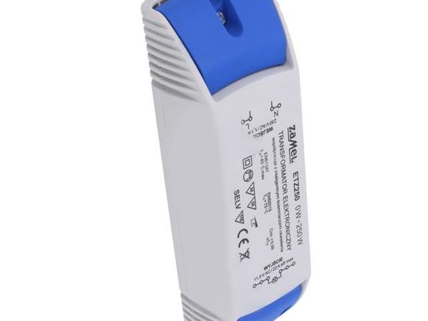 ETZ250 Power Transformers