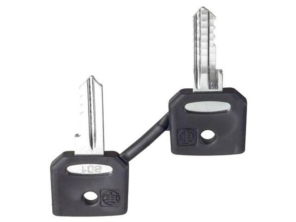 ZBG455P  Electromechanical