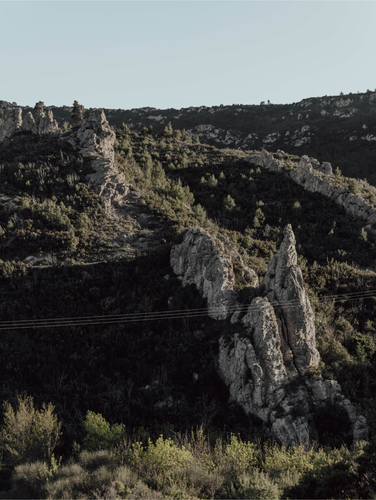 Domaine Plan de Roque – IGP Aude Hauterive - Michel Raynaud