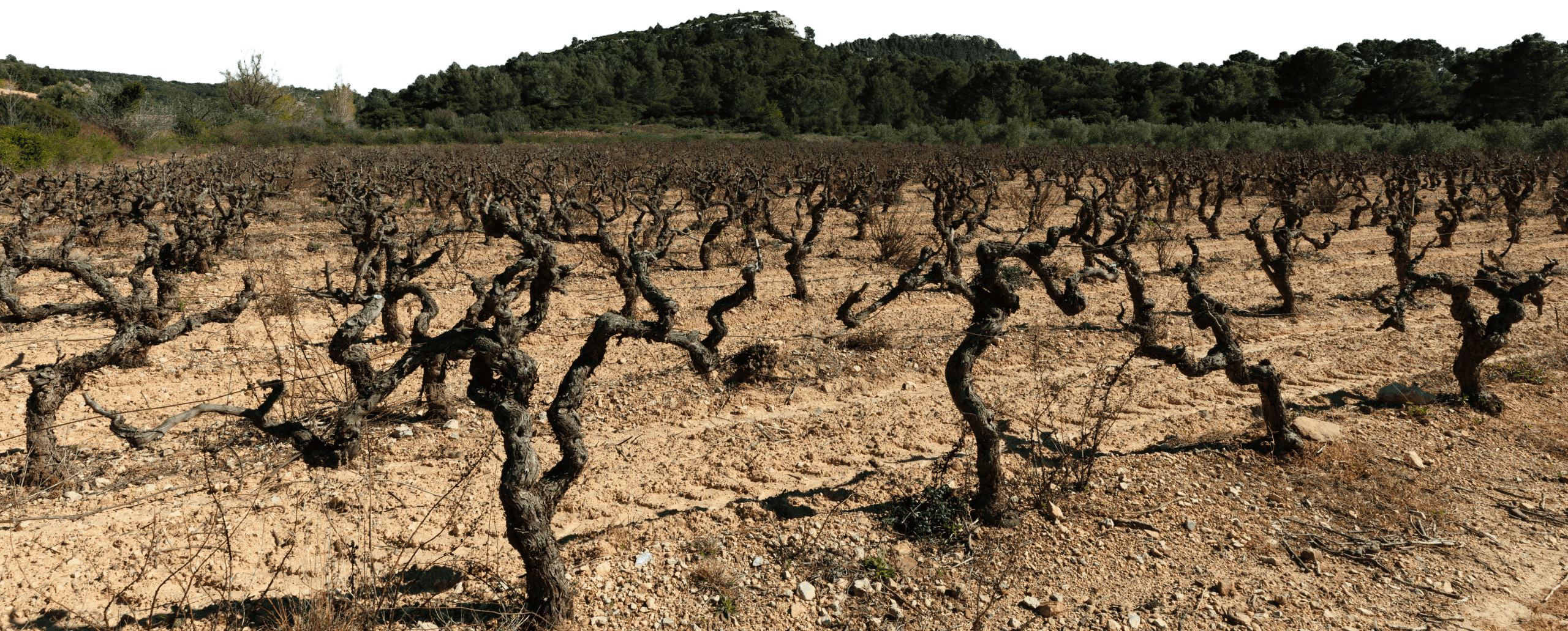 Son univers - Michel Raynaud