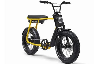 E-Fatbikes