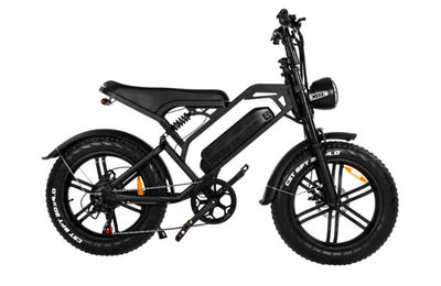 Fatbike