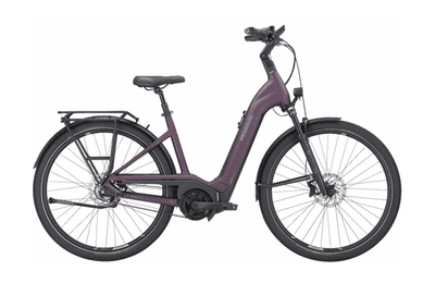 E-bikes 
