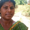 Distributor avatar