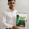 Distributor avatar