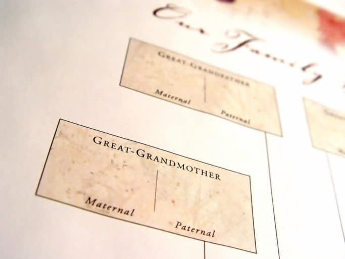 roots day, roots, genealogy, family stories