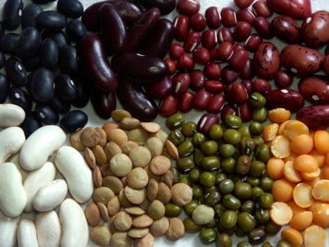 national bean day, bean day, beans