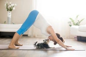yoga for your pets, pet yoga, pet exercise, healthy pets