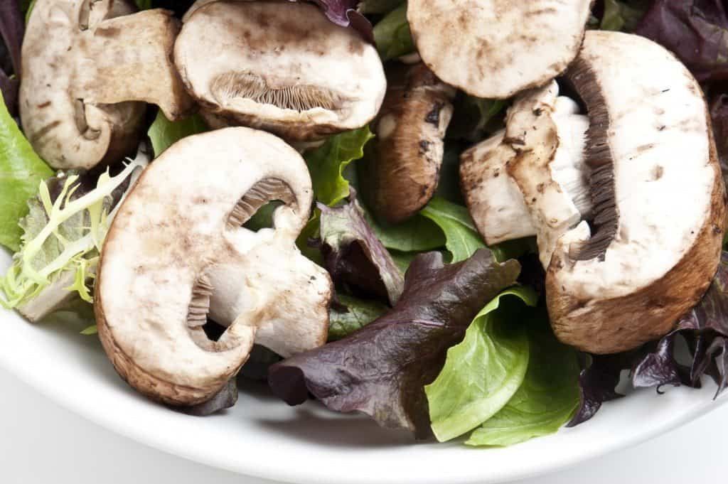 mushroom, salad, healthy, mushroom recipe