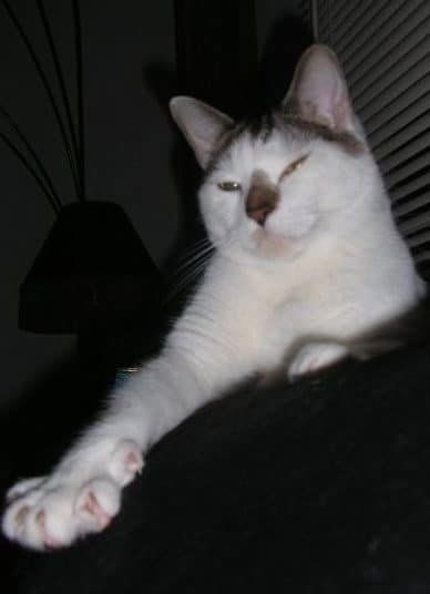 Max