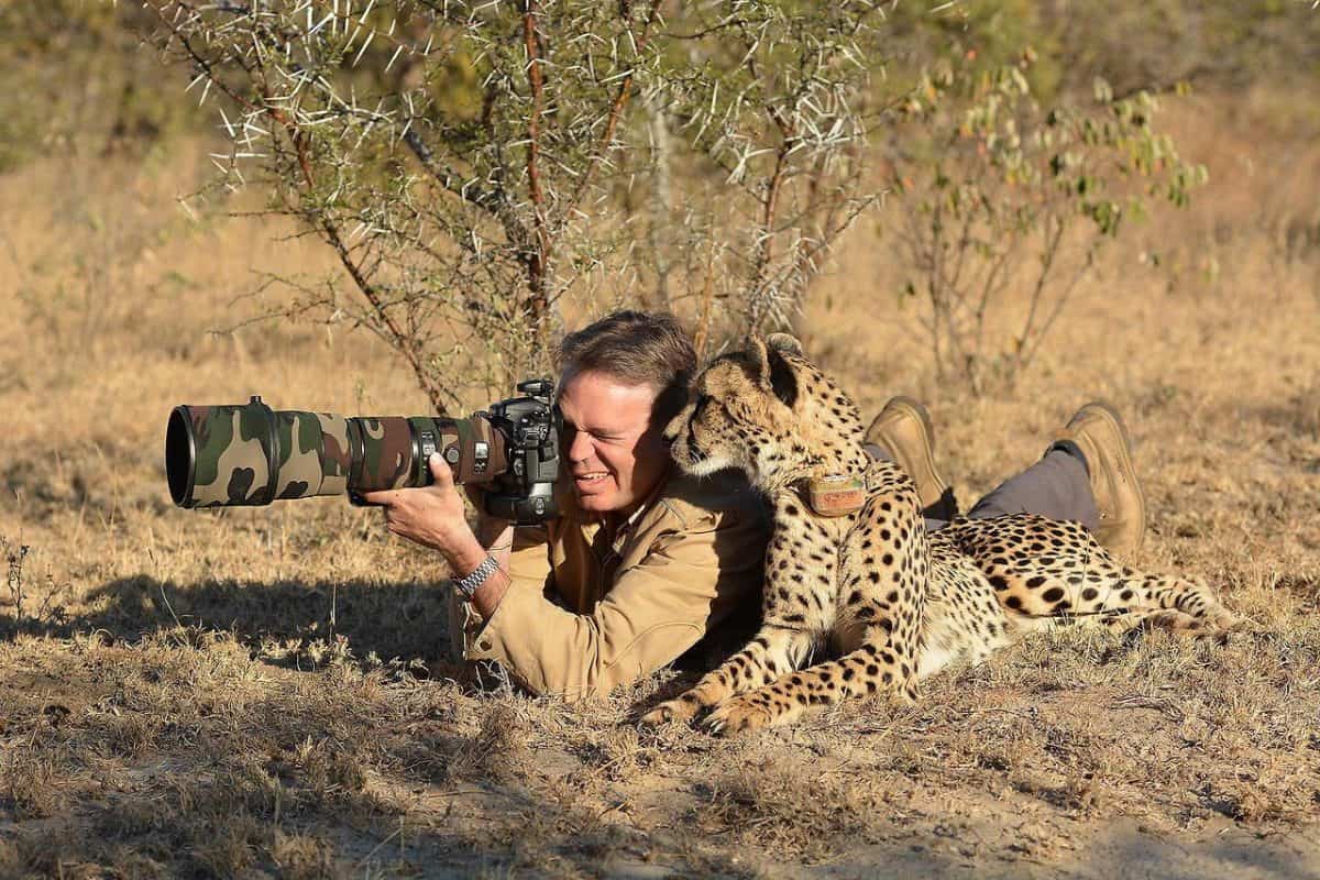 how real mean shoot animals