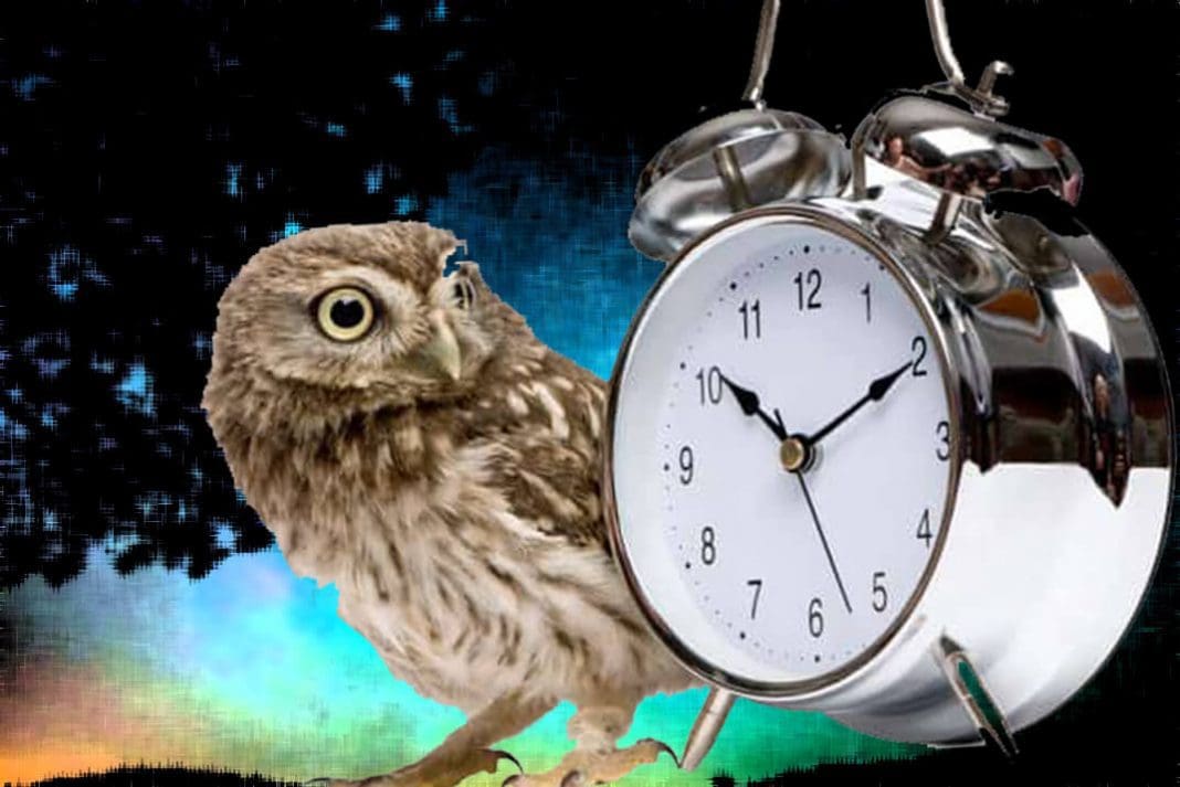 owl-mln