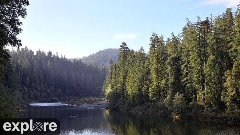 Redwood Forest River Crescent City, California