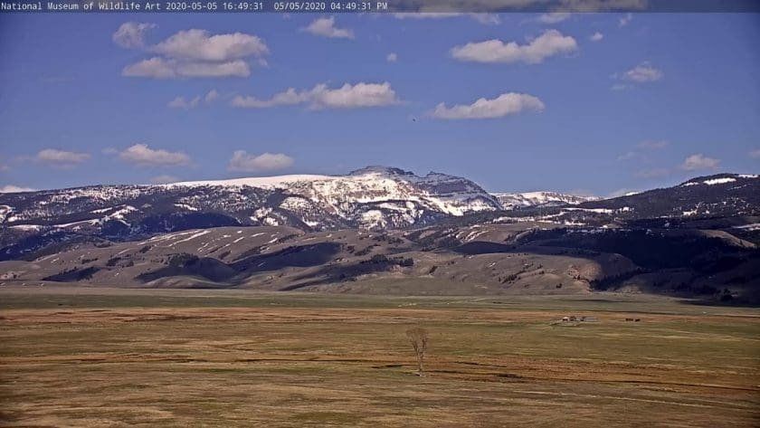 National Museum of Wildlife Art - Live Elk Refuge