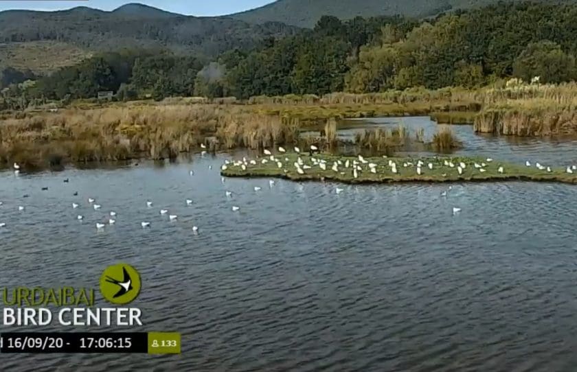 Urdaibai Bird Centre
