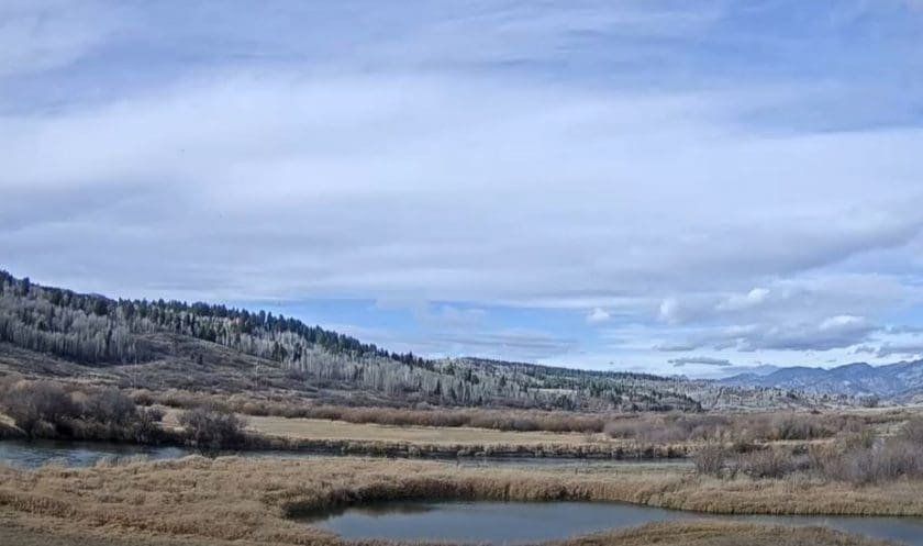 Double L Ranch View