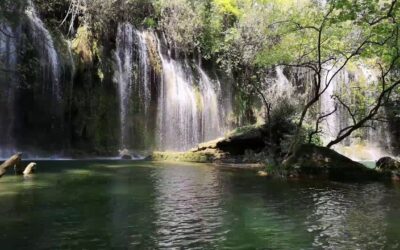 Jungle Waterfall Oasis