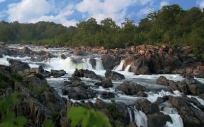 rocky stream and waterfall