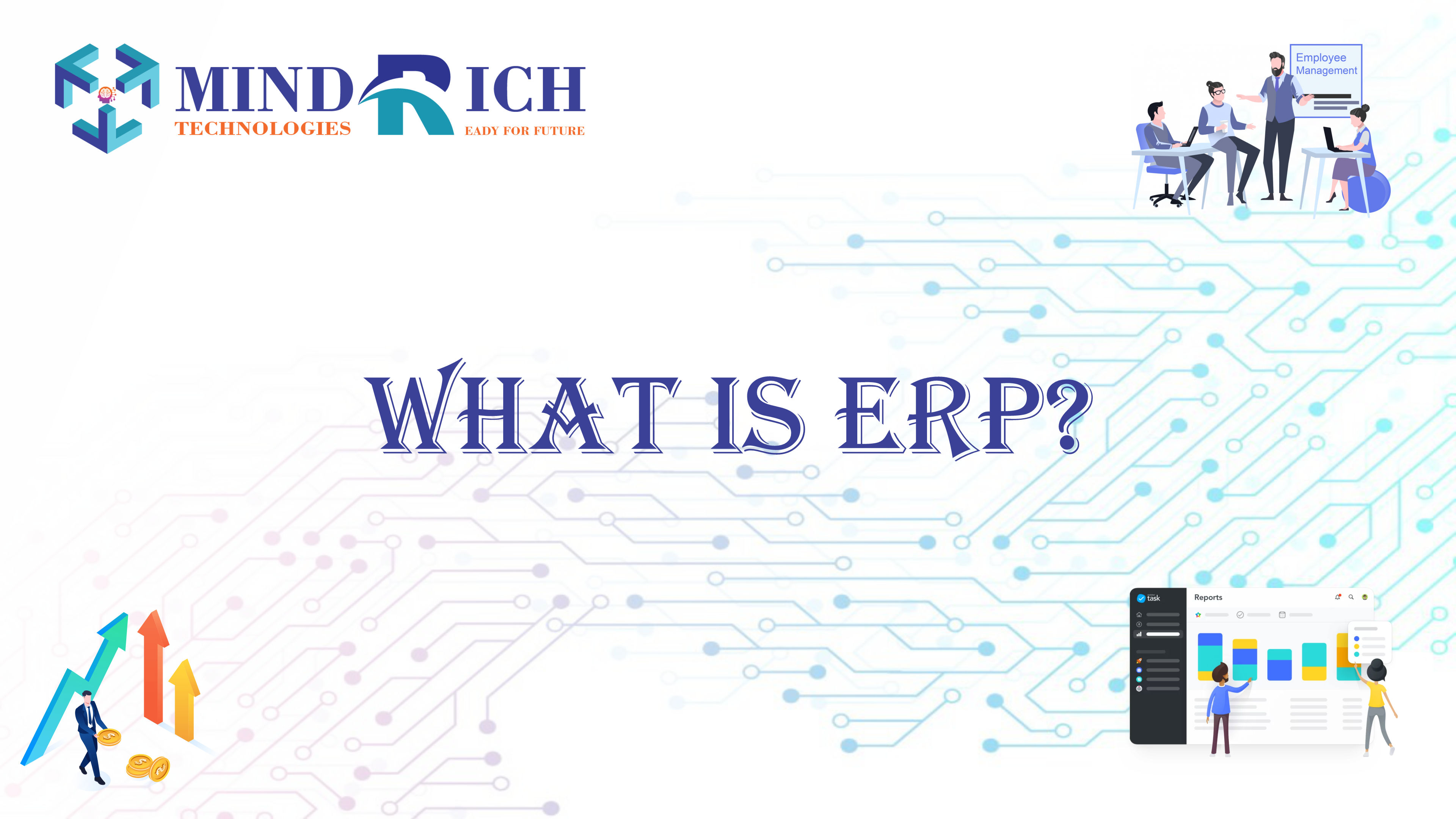 What is ERP?