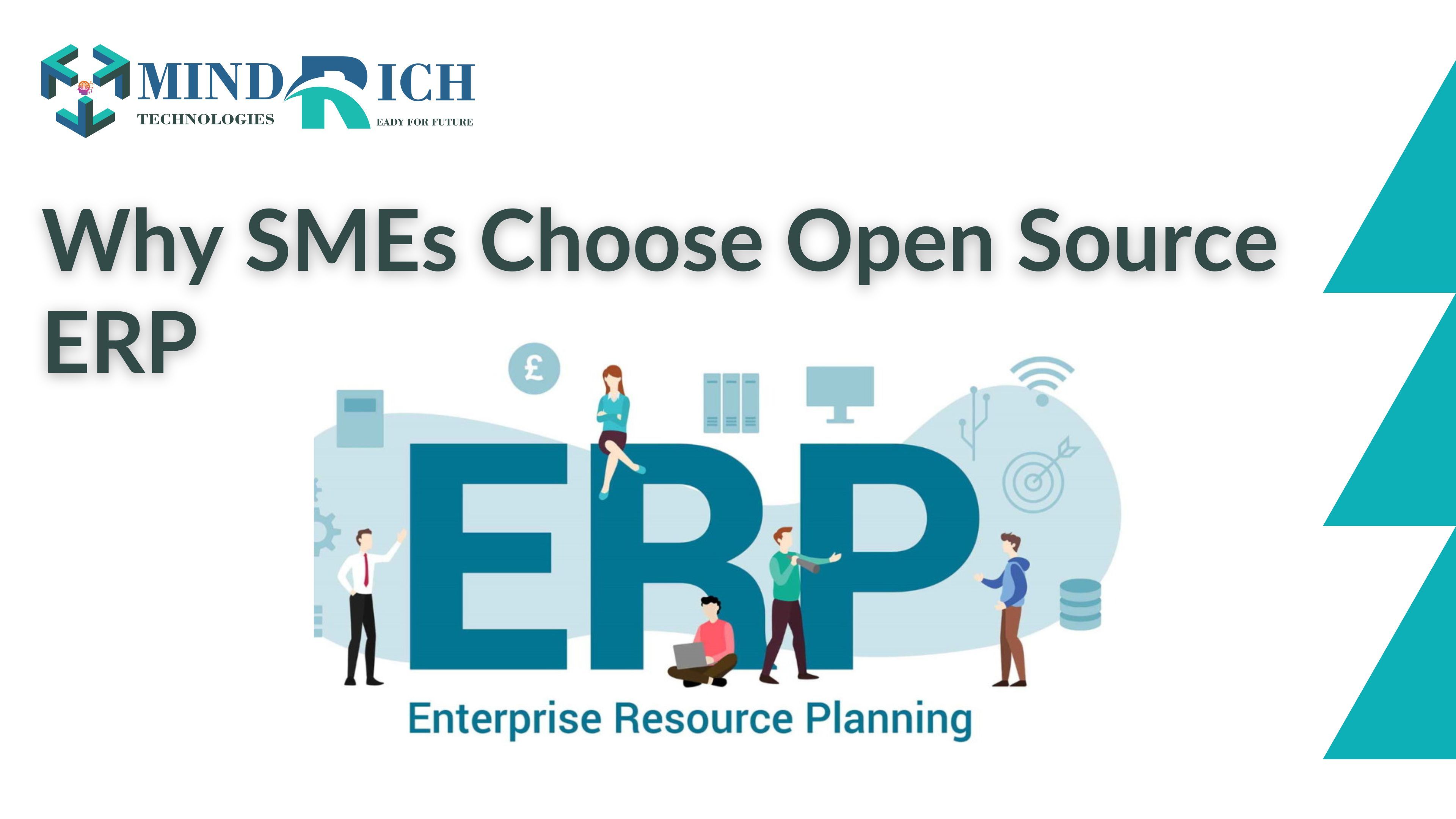 Open source ERP software.