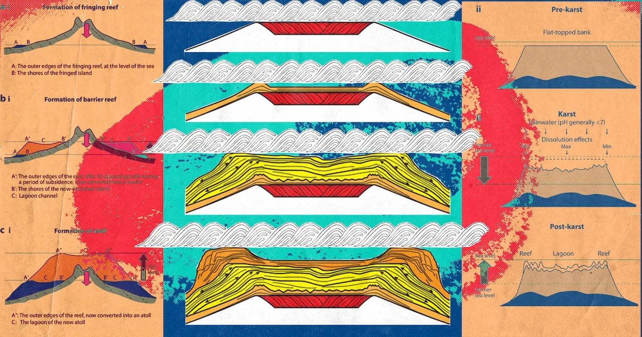 ކުރެހުމާއި ޑިޒައިން: ޑޮސެއިން