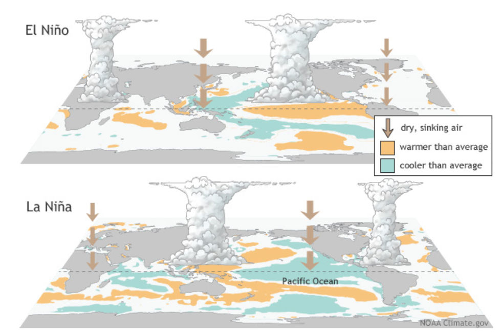 Atmospheric and Oceanic Circulation Patterns During El Niño and La Niña Conditions over Pacific Ocean, and typical effects on the Indian Ocean(NOAA, 2025).