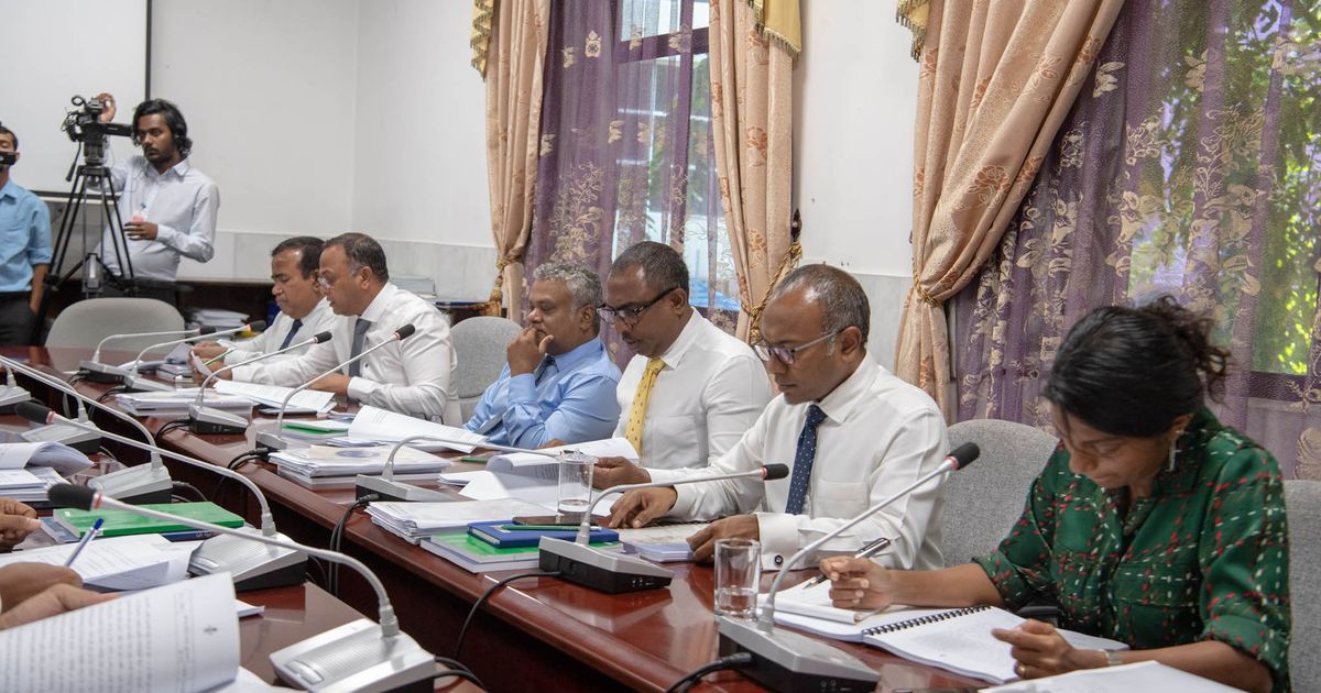 Parliamentary probe launched into jihadi group