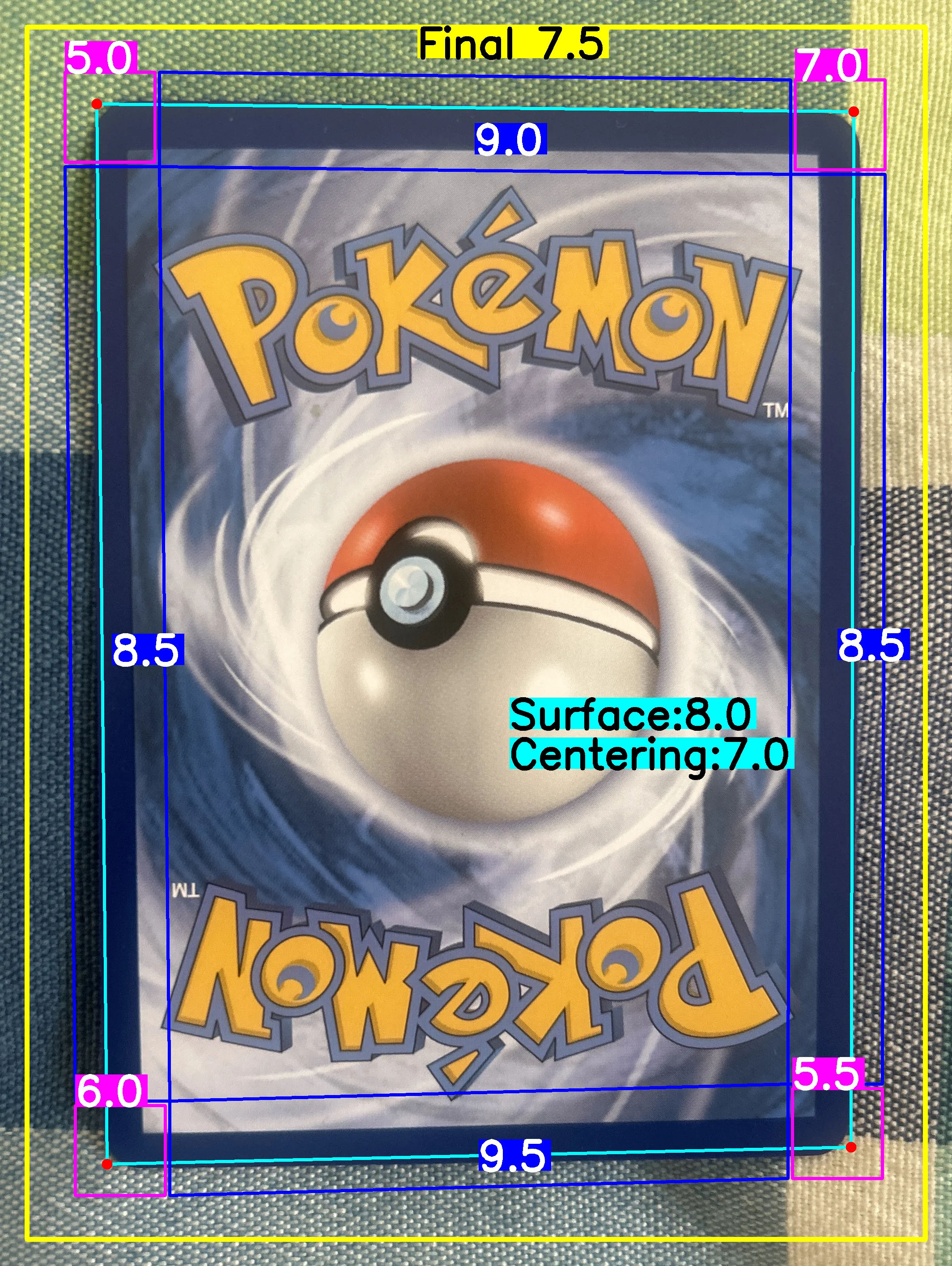 Back Card