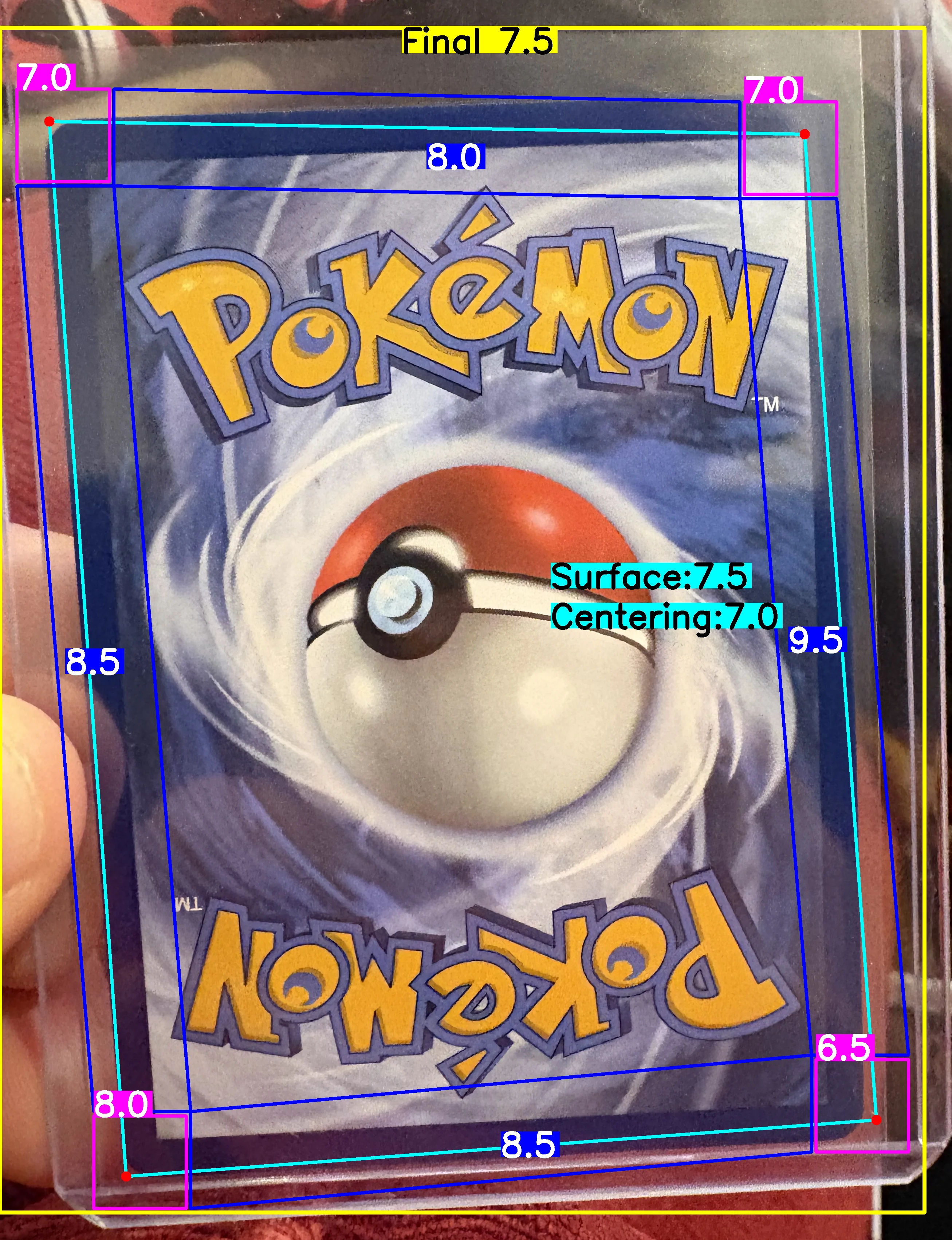 Back Card