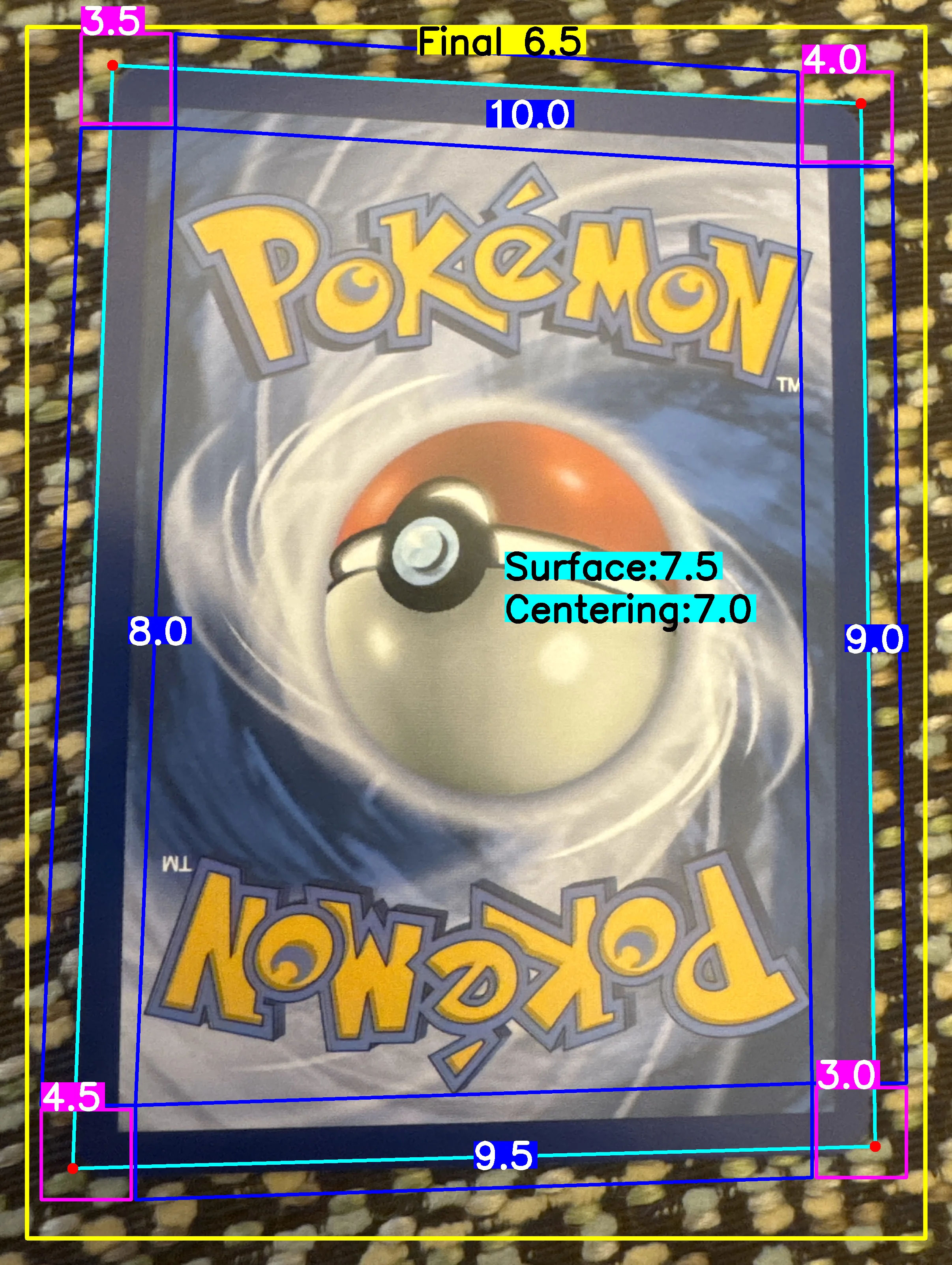 Back Card