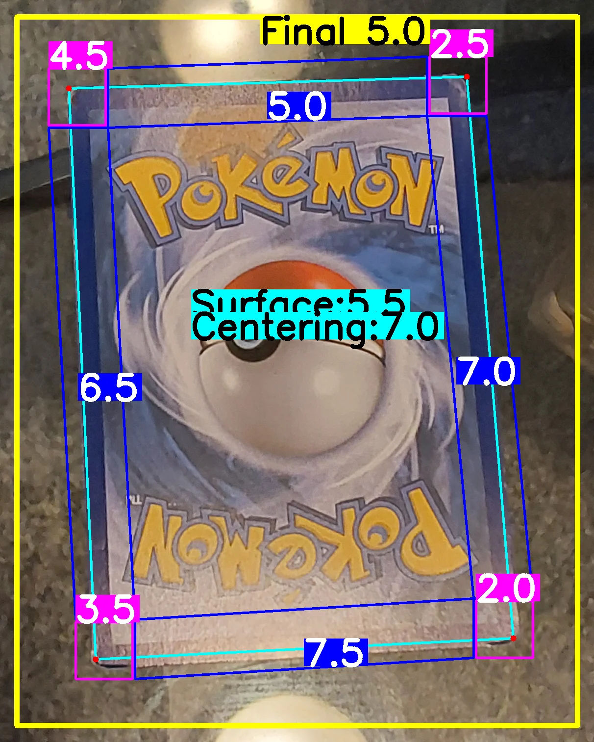 Back Card