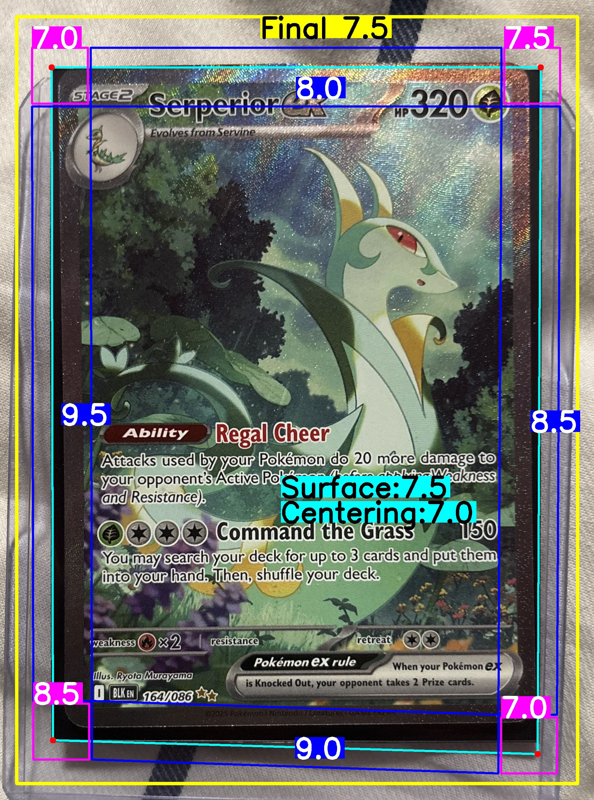 Front Card