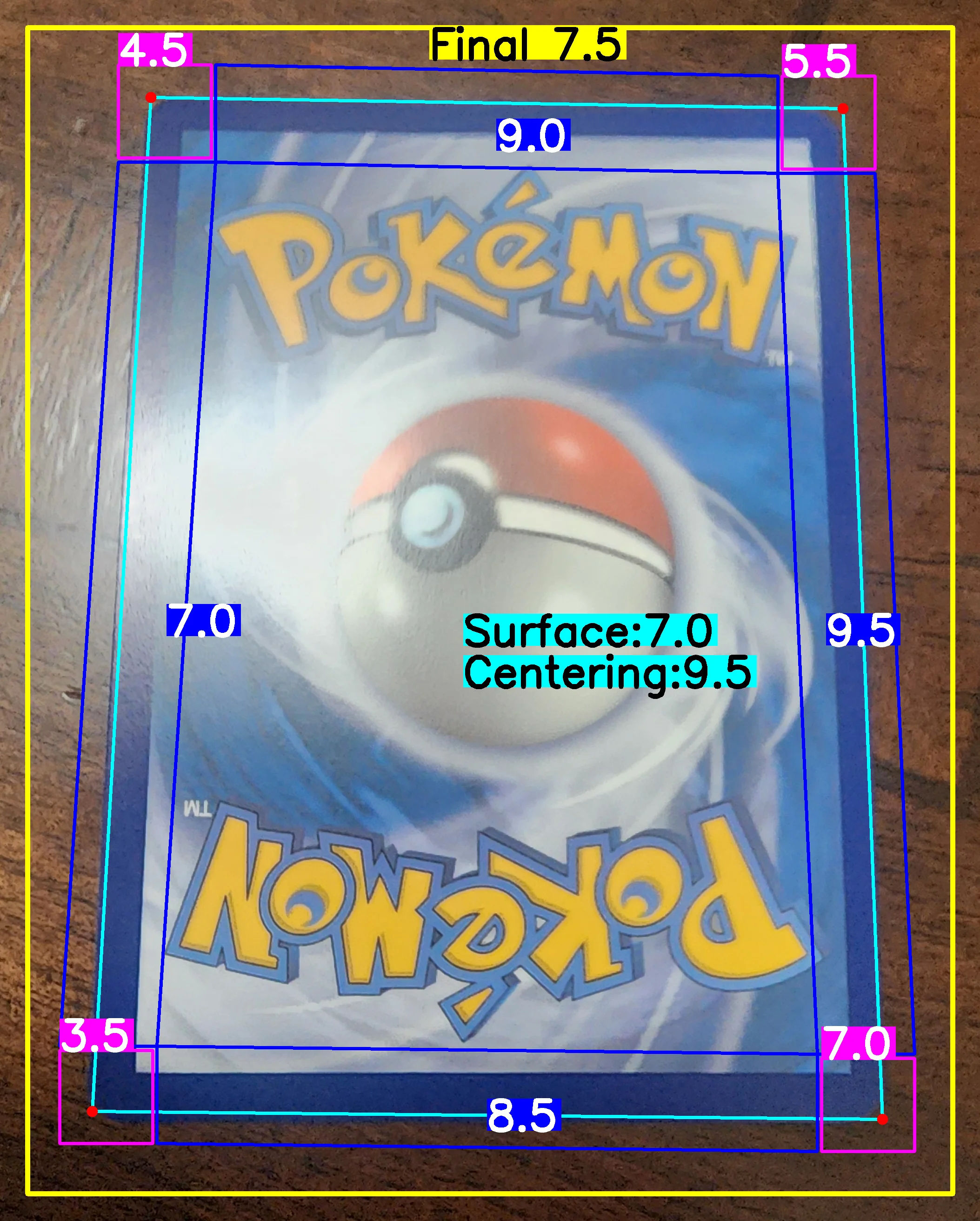 Back Card