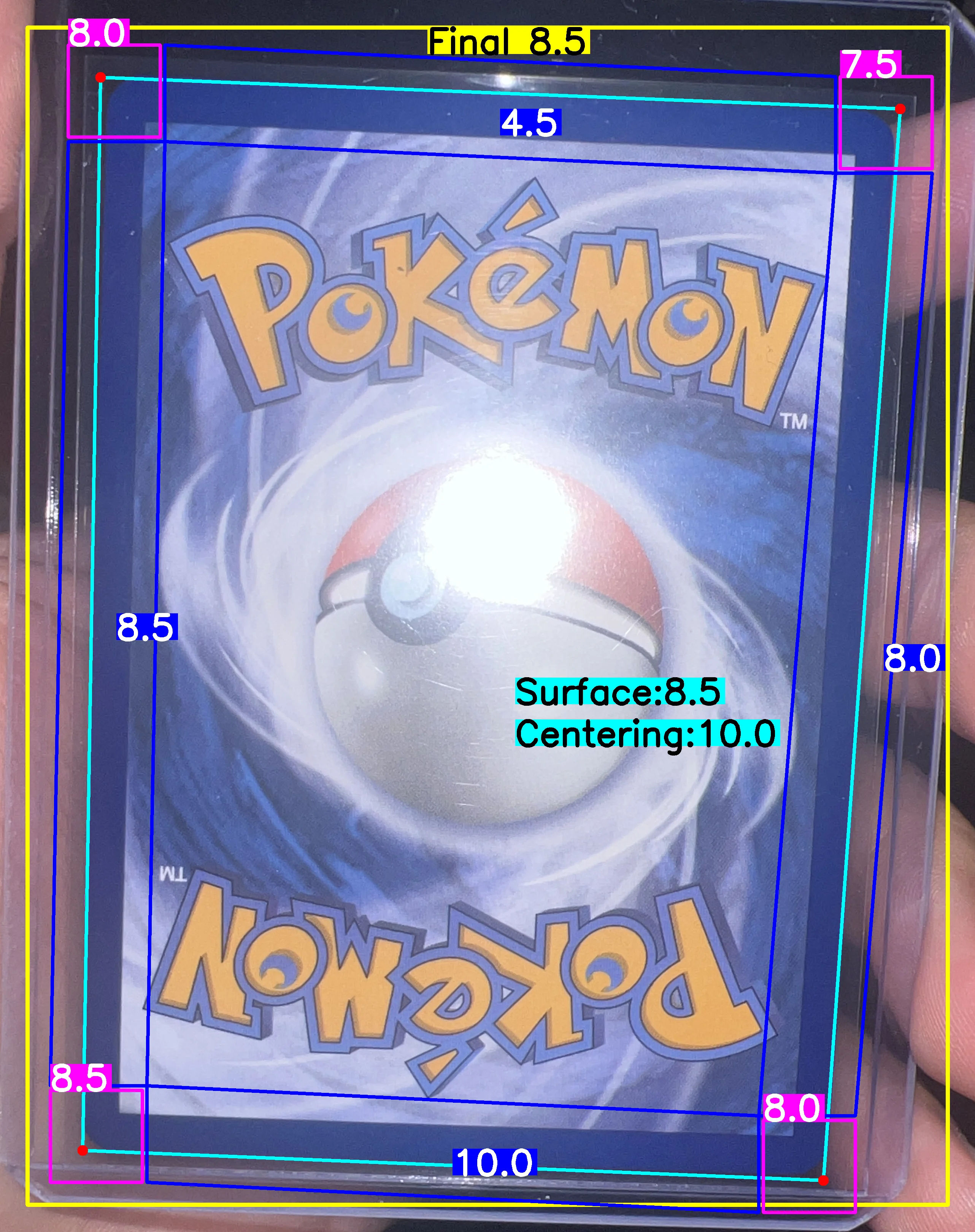 Back Card