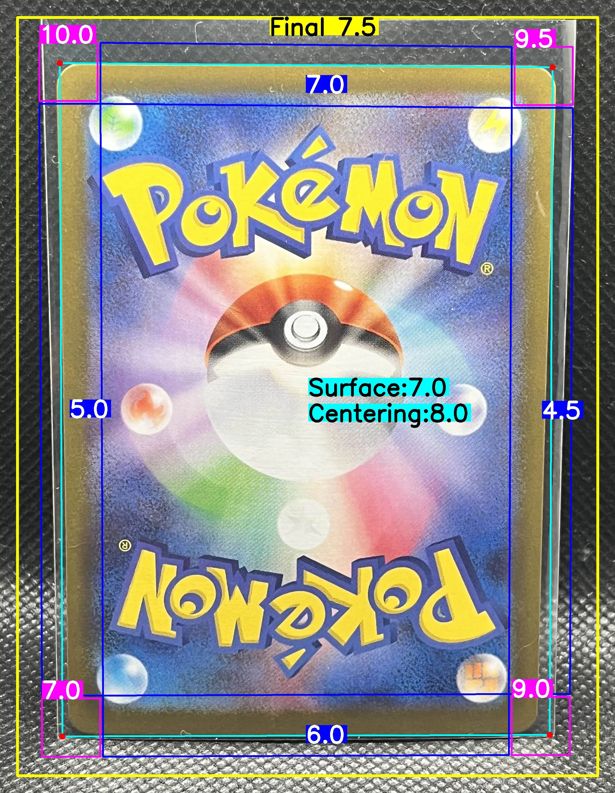 Back Card